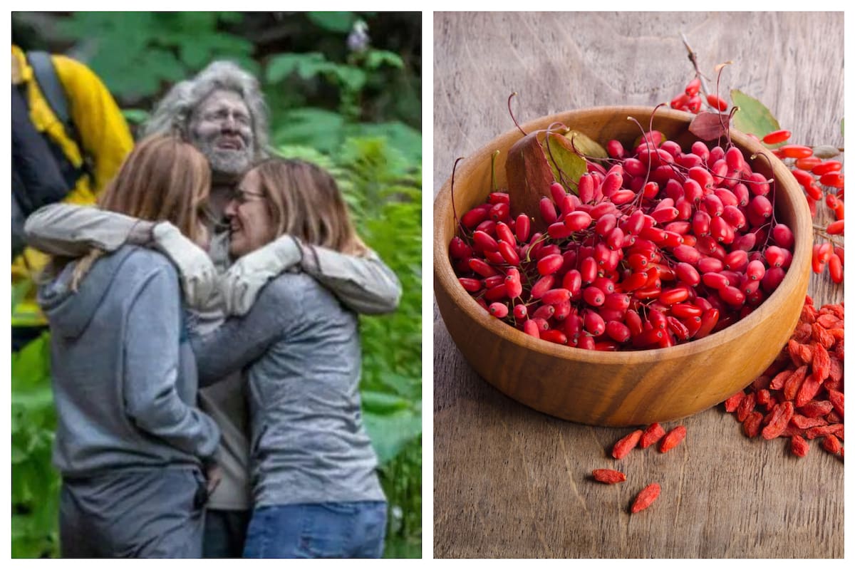 Bayas de goji, el superalimento que permitió un final feliz en California