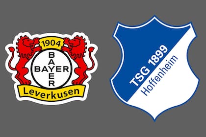 Bayer Leverkusen-Hoffenheim