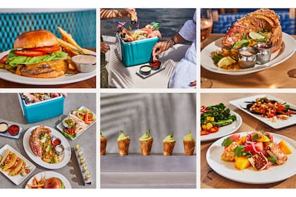 Bayshore Club abre sus puertas en Coconut Grove, en Miami