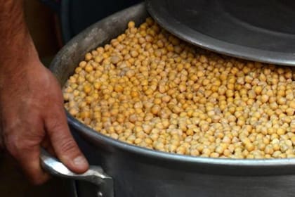 El garbanzo se descubrió hace 10.000 años en Turquía y se dice que fue una de las primeras legumbres en ser cultivada.
