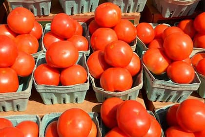 Lo verdaderamente importante del tomate es su contenido en vitaminas y minerales