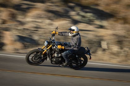 Bear 650