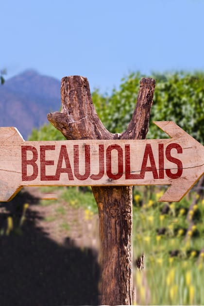 Beaujolais, un vino tinto fresco y ligero