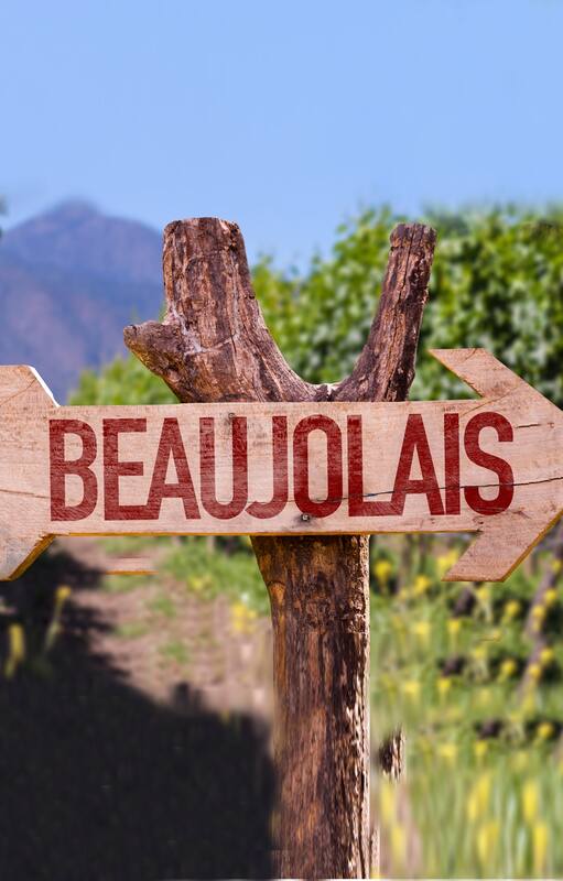 Beaujolais, un vino tinto fresco y ligero