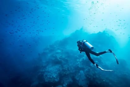 Beber agua de mar conlleva un serio peligro de deshidratación para los humanos
