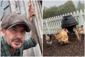 Beckham mostró con orgullo cómo está su espectacular huerta