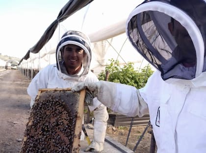Beeflow trabaja con más de 50 compañías en 11 cultivos
