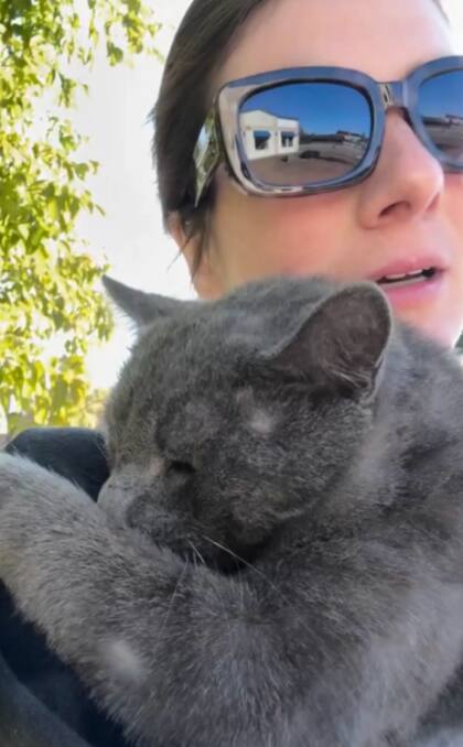 Begg no pudo evitar conmoverse con la escena del gato herido en la ruta (Foto: @feespaack)