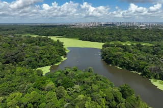 La agresiva campaña de una ciudad contra el dengue que podría volverse ejemplar