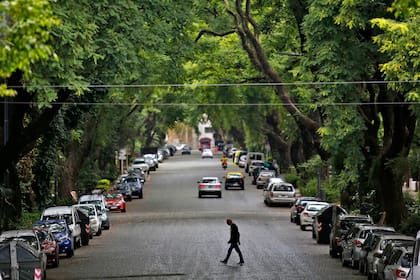 Belgrano, Colegiales y Nuñez, los barrios con más sombra