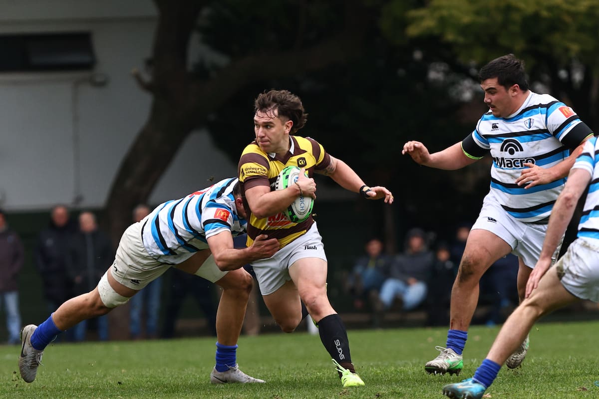 URBA Top 14: Belgrano derrotou SIC, Newman voltou a vencer e Alumni venceu CUBA