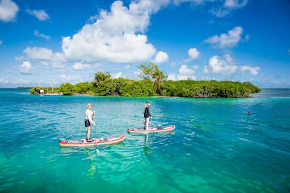 Belice