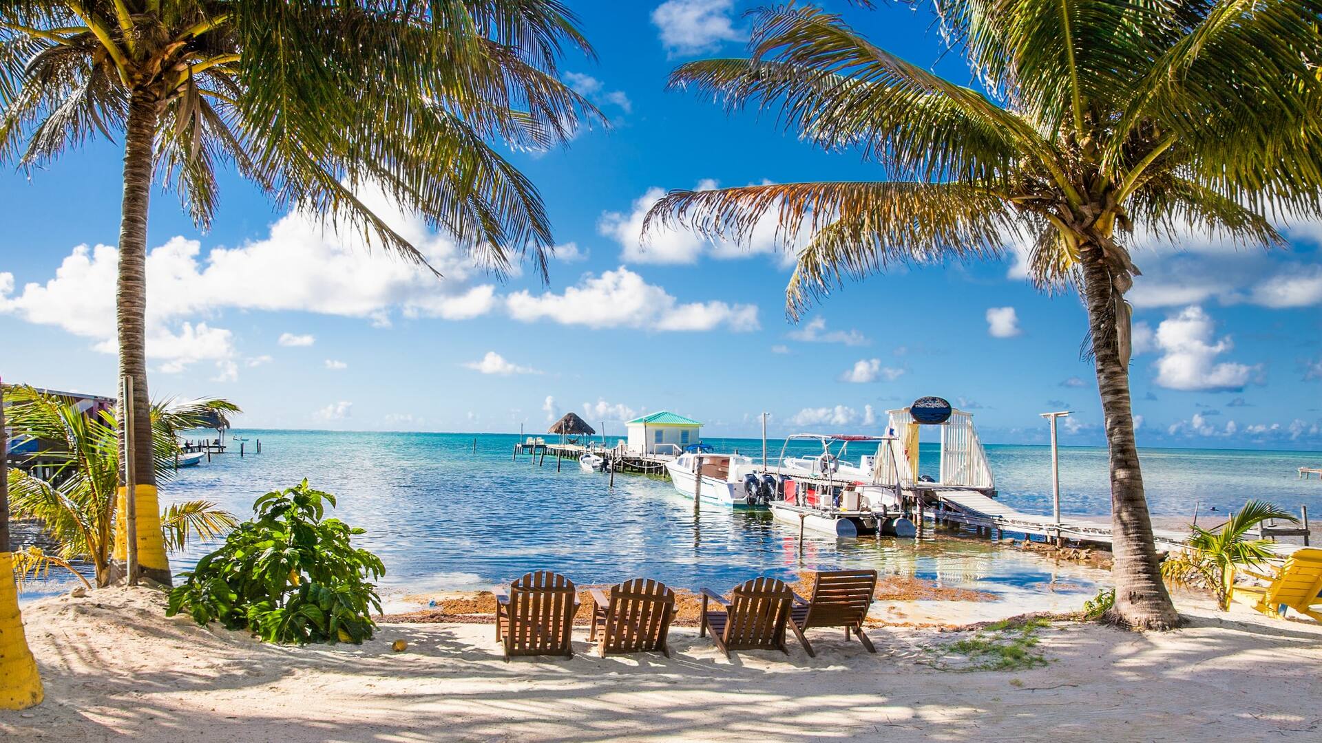 Belice
