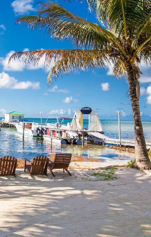 Belice