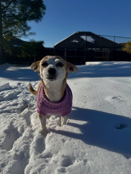 Bella tiene más de 75.000 seguidores en Facebook.