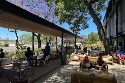 Bellas Artes Bar es el nuevo espacio gastronómico del museo ubicado en el tradicional barrio porteño