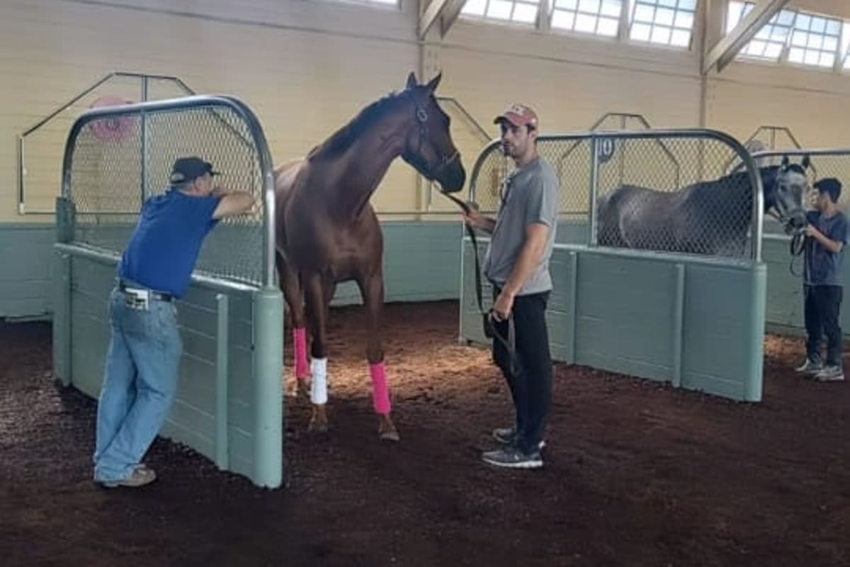 Belleza de Arteaga, en los boxes de exhibición de Santa Anita Park, con Juan Saldivia, el entrenador; la yegua argentina sigue familiarizándose con las instalaciones del hipódromo californiano.