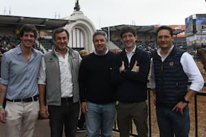 Lanzaron una novedosa plataforma para invertir en vacas