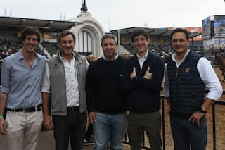Lanzaron una novedosa plataforma para invertir en vacas