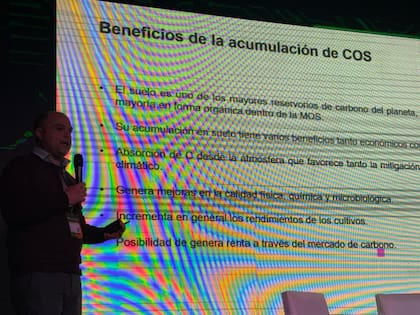 Beltrán señaló: “Cuanto más carbono hay, mayor es la incertidumbre de los datos, por eso estamos trabajando en aumentar la densidad de muestreo para mejorar la calidad de la información”
