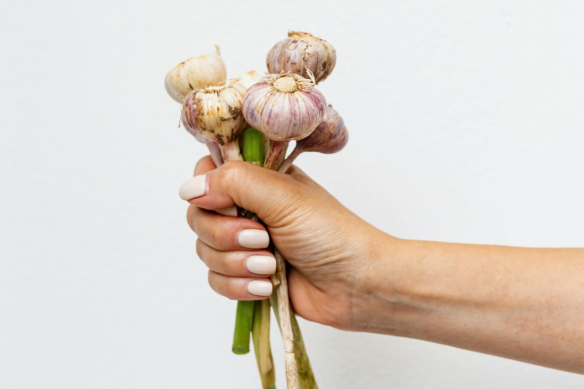 Beneficios del ajo que no habías imaginado