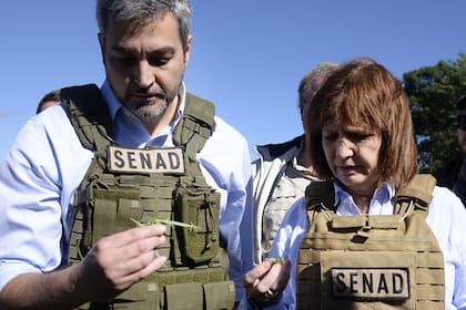 Benítez observando una hoja de marihuana junto a la ministra Bullrich