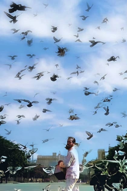 Benito Costoya educó a las palomas para que volaran, bajaran a tierra a comer o lo siguieran