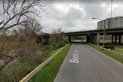 Benito Lynch y Acceso Tigre, escenario de un nuevo femicidio