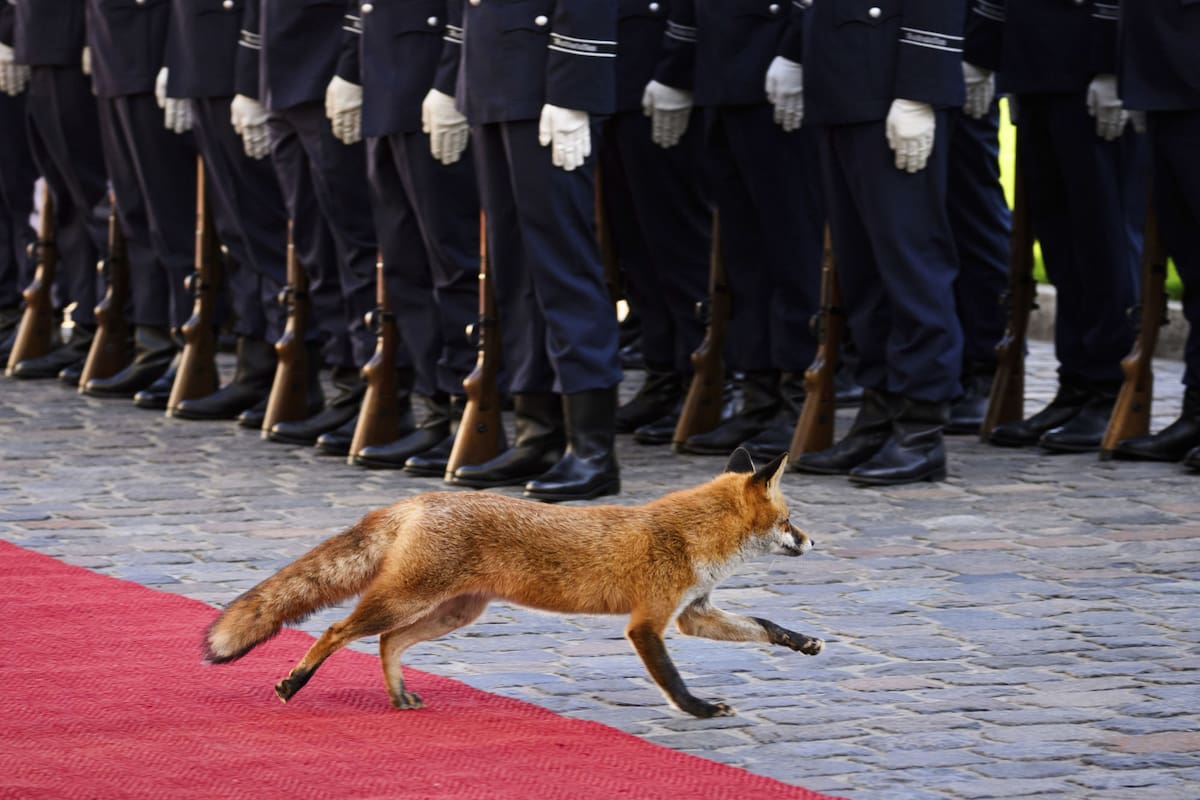 Berlín, Alemania. Edición fotográfica de Jesica Rizzo