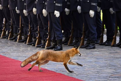 Berlín, Alemania. Edición fotográfica de Jesica Rizzo