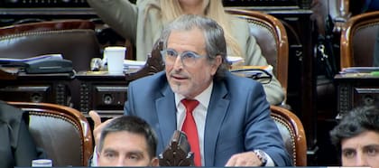 Bertie Benegas Lynch defendió el proyecto que le otorga beneficios a nuevas industrias tecnológicas que inviertan al menos US$1000 millones