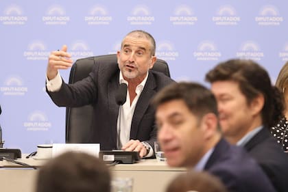 Bertie Benegas Lynch, presidente del plenario de comisiones