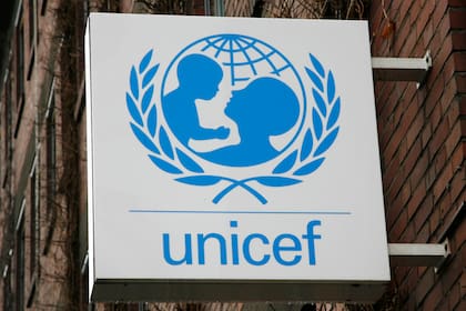 Bertie Benegas Lynch: Unicef le contestó al diputado libertario
