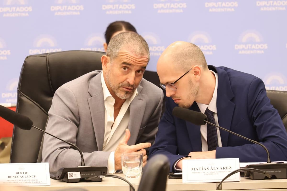 Bertie Benegas Lynch y Matías Álvarez, titular de la UIF, en la comisión donde se debatió el proyecto de ley de Inocencia Fiscal