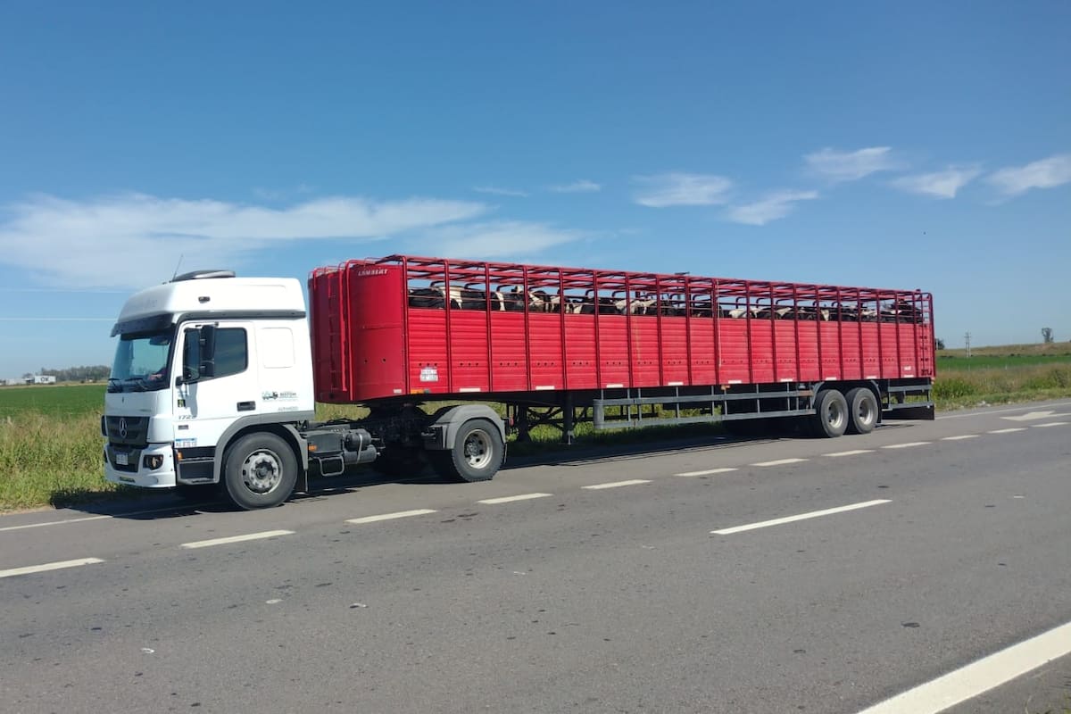 Bertoni Agropecuaria S.A. es una PyME familiar de Ramona, provincia de Santa Fe.