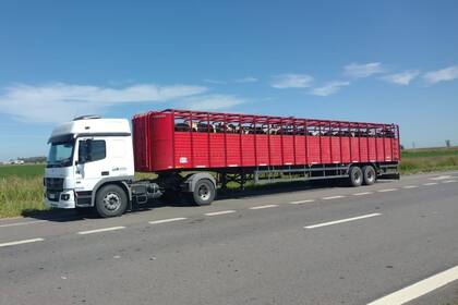 Bertoni Agropecuaria S.A. es una PyME familiar de Ramona, provincia de Santa Fe.