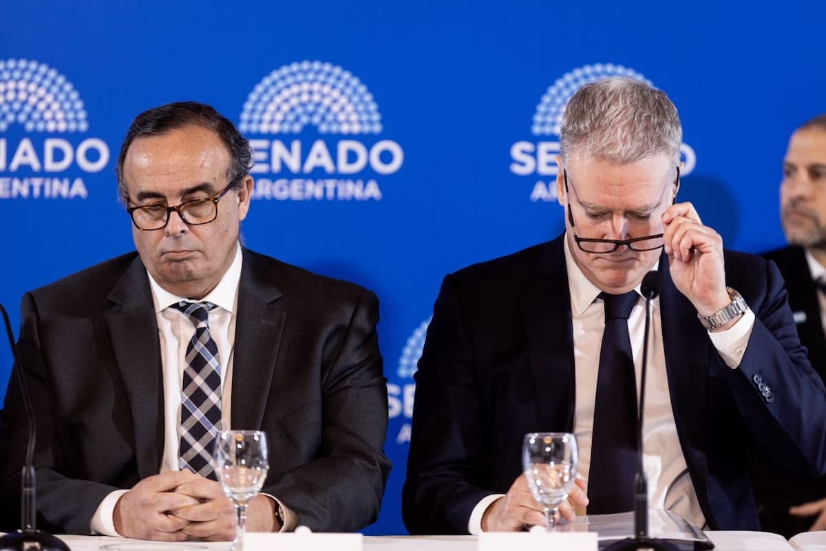 Bertuzzi y Yadorala, hoy, al exponer en el Senado