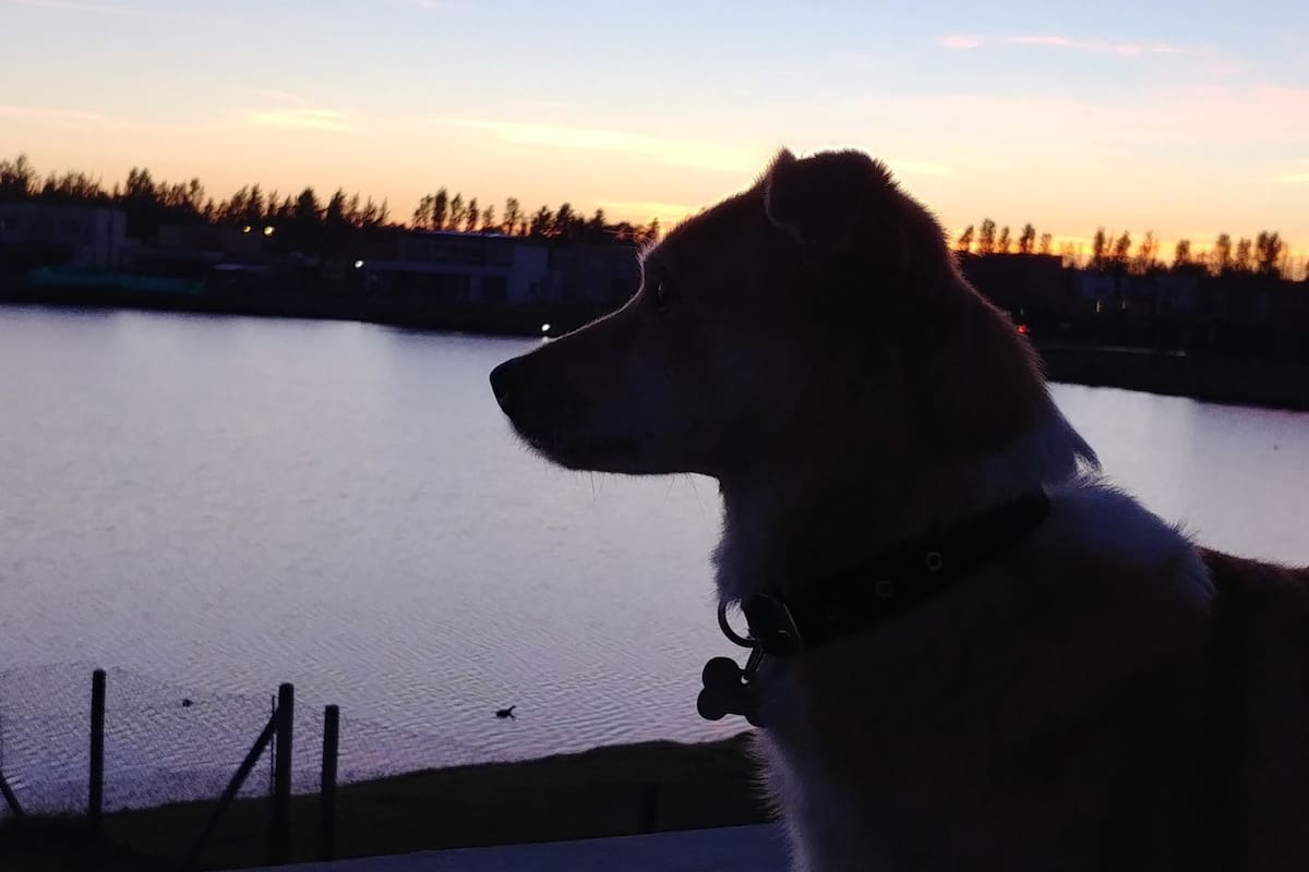 Betty hoy; sigue sin tenerle miedo a nada, salvo a las tormentas y la pirotecnia