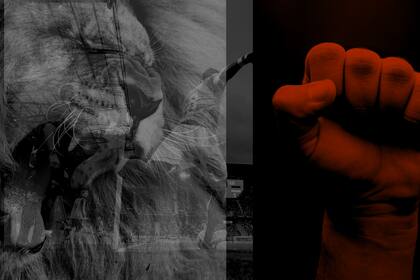 BetWarrior, la nueva apuesta en gaming.