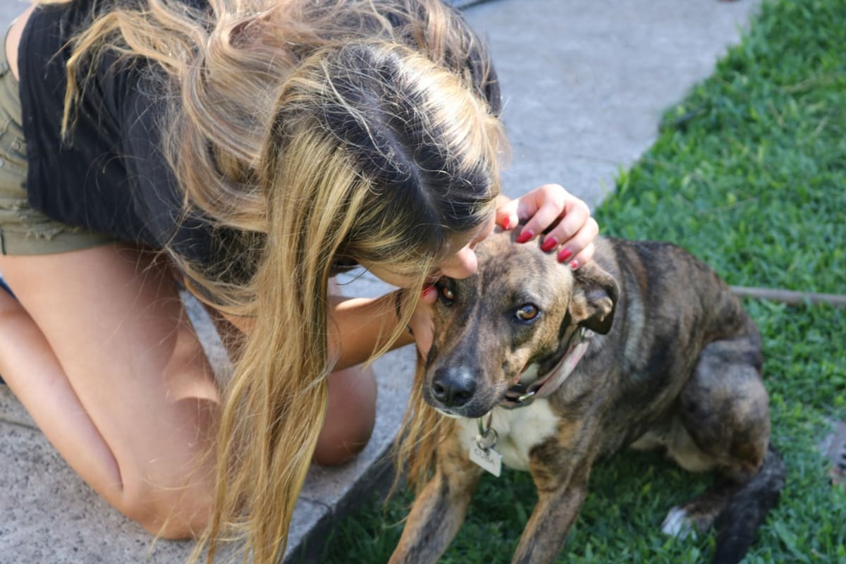 Bianca Belluschi, de 19 años, es la fundadora de Patitas al Rescate, una organización que salvó a 450 animales en situación de calle. En la foto, se encuentra junto a su perrita Cuba.