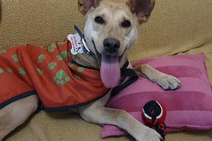 Bianca tuvo una recuperación lenta pero logró salir adelante.