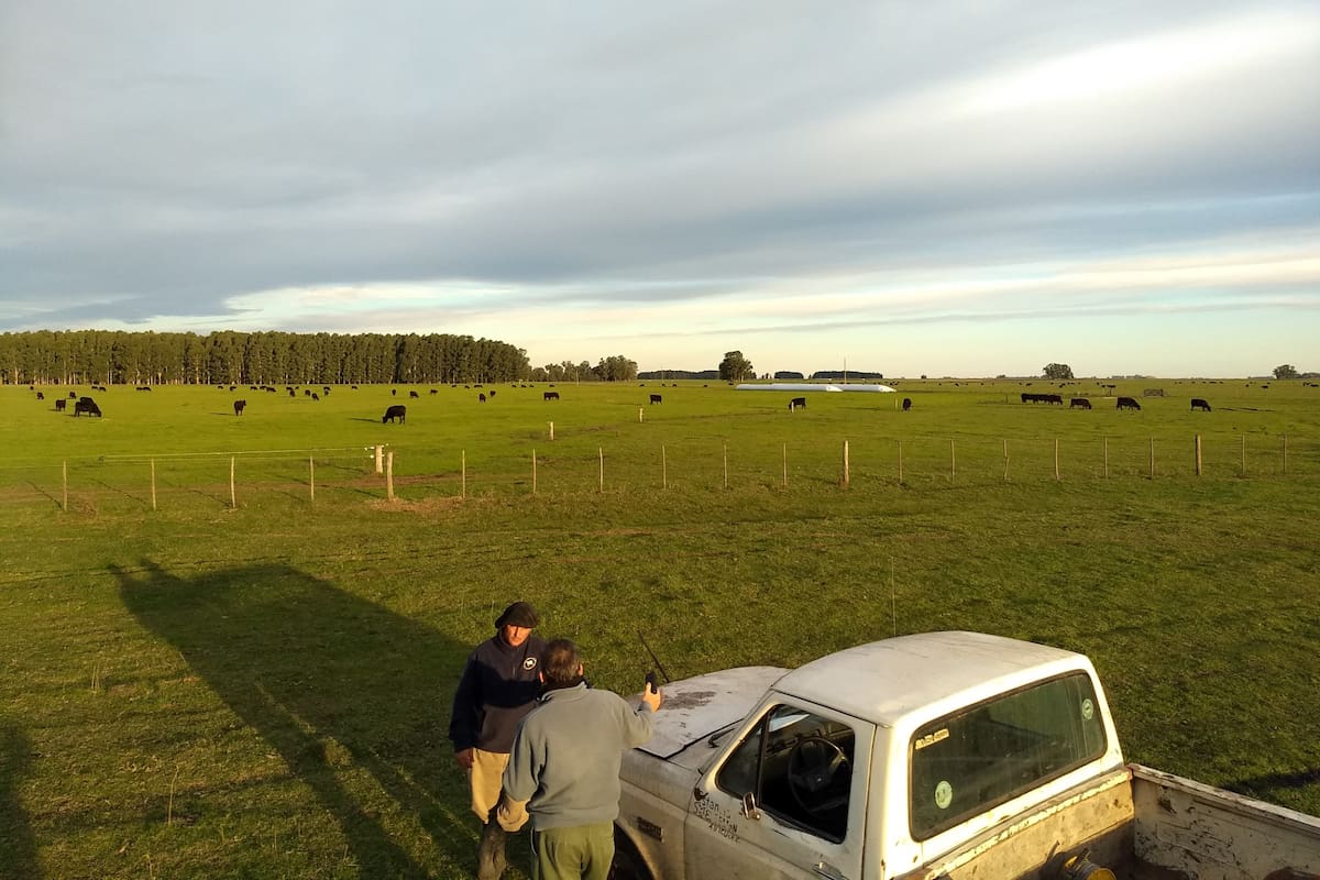 Bianchi trabaja junto a un equipo de veterinarios y asesores ganaderos