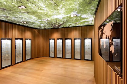 Biblioteca de Masas Madre del Mundo
