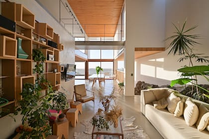 Biblioteca modular que Christian creó para una feria de diseño. Las muelitas son de madera recuperada, y las tuvo en sus últimos espacios. En ambos laterales sumó macetas con plantas grandes, como un respiro.