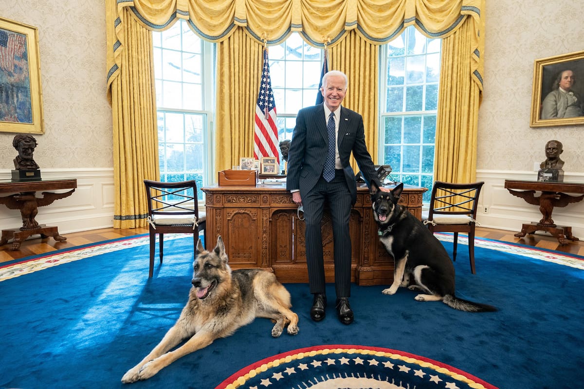 Biden y sus dos perros, Champ y Major (de pelaje más oscuro)