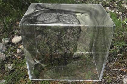 Bienalsur 2019. De la muestra Infinitud