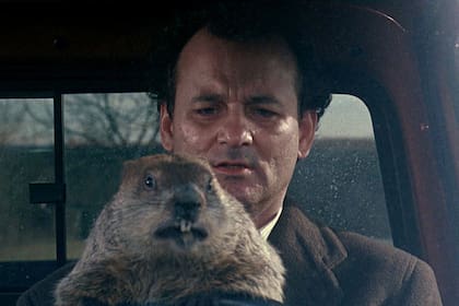 Bill Murray en una escena de la película que hizo famoso el día de la marmota en todo el mundo
