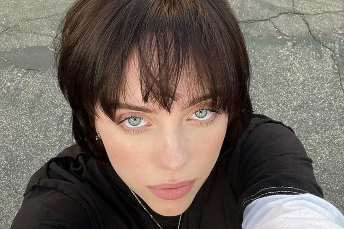 Billie Eilish quiso sorprender a sus fans con un desafío que les permitiría formar parte de sus shows, pero generó polémica en las redes