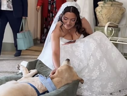 Billy durante la boda tuvo su lugar para descansar