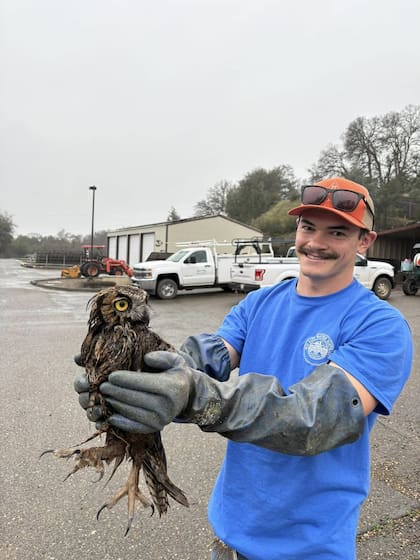 Billy Schatz, un empleado del Distrito de Aguas de Río Alto en California, manejaba por uno de los sectores de la planta cuando detectó una forma extraña en el lecho de secado de aguas residuales.